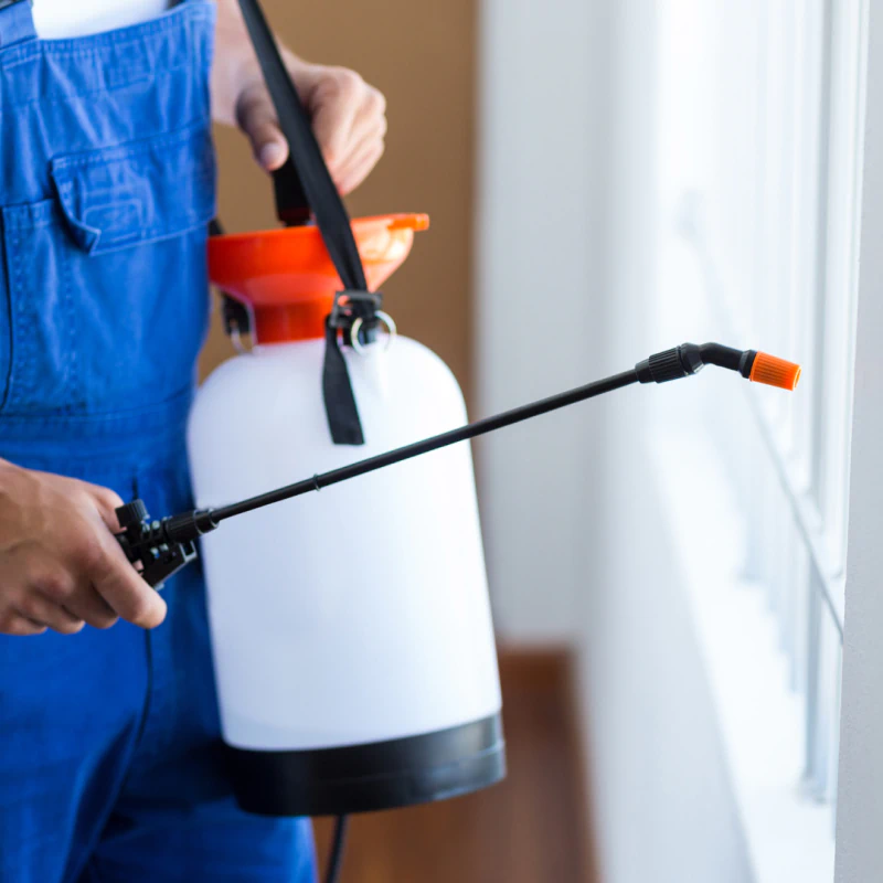Pest Maintenance Programs